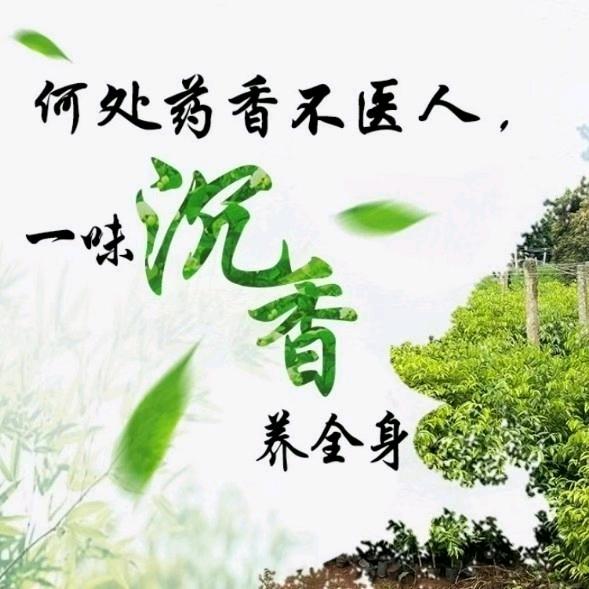 心外无物