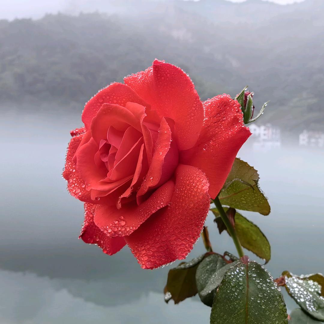 敏讷