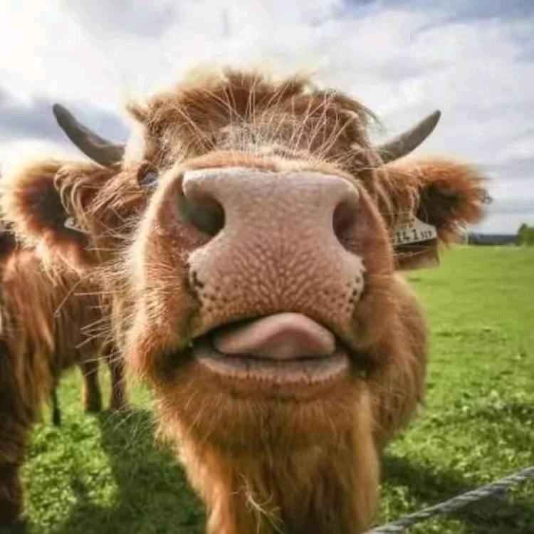 小熊一米五吧🐻