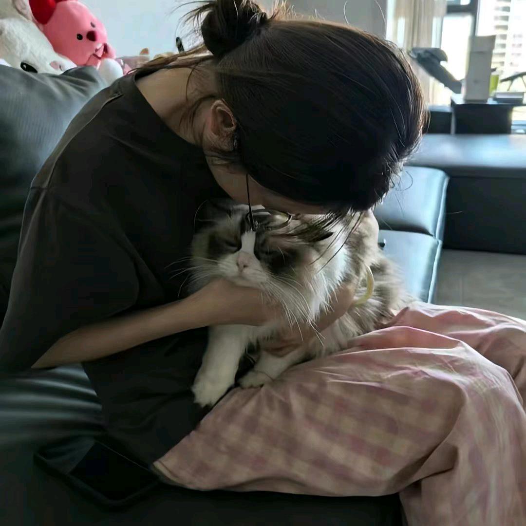 小小摆烂家、