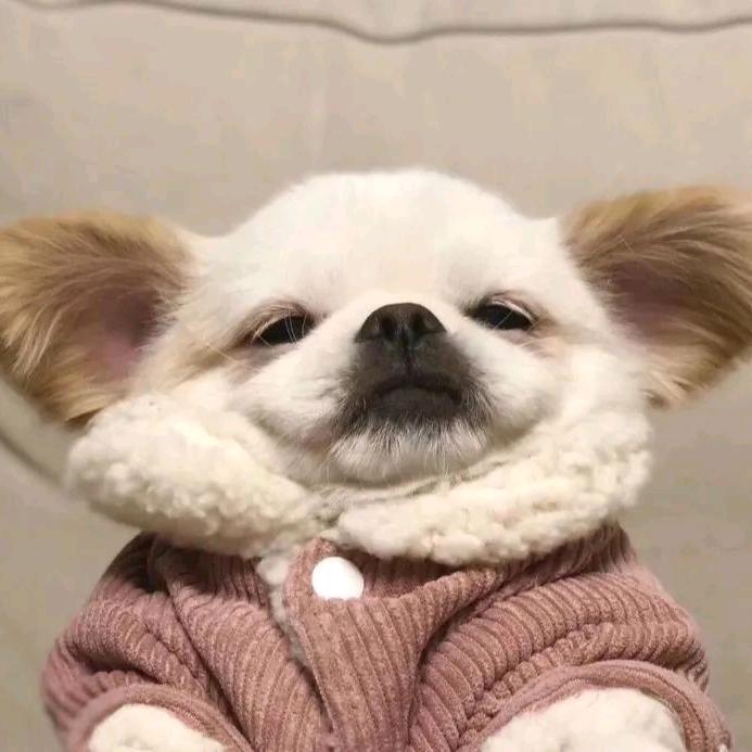 作业被我养的白白的(￣_,￣ )