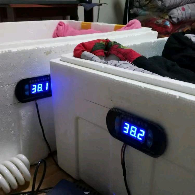 水床孵化技术南博万