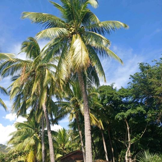 板泉路2137号为民车行