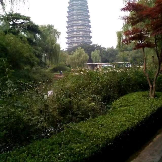 爱你一生。