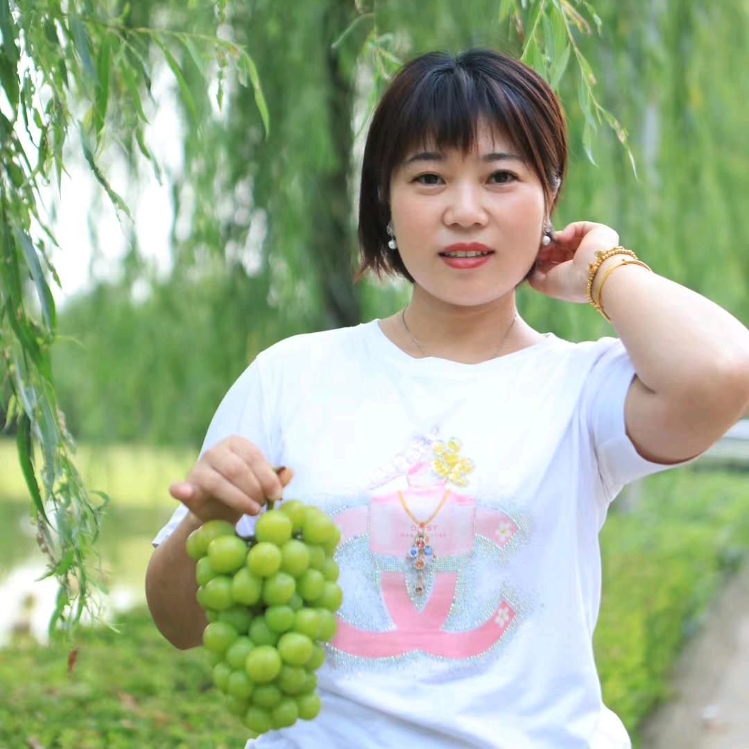 乡旮旯杨丫头