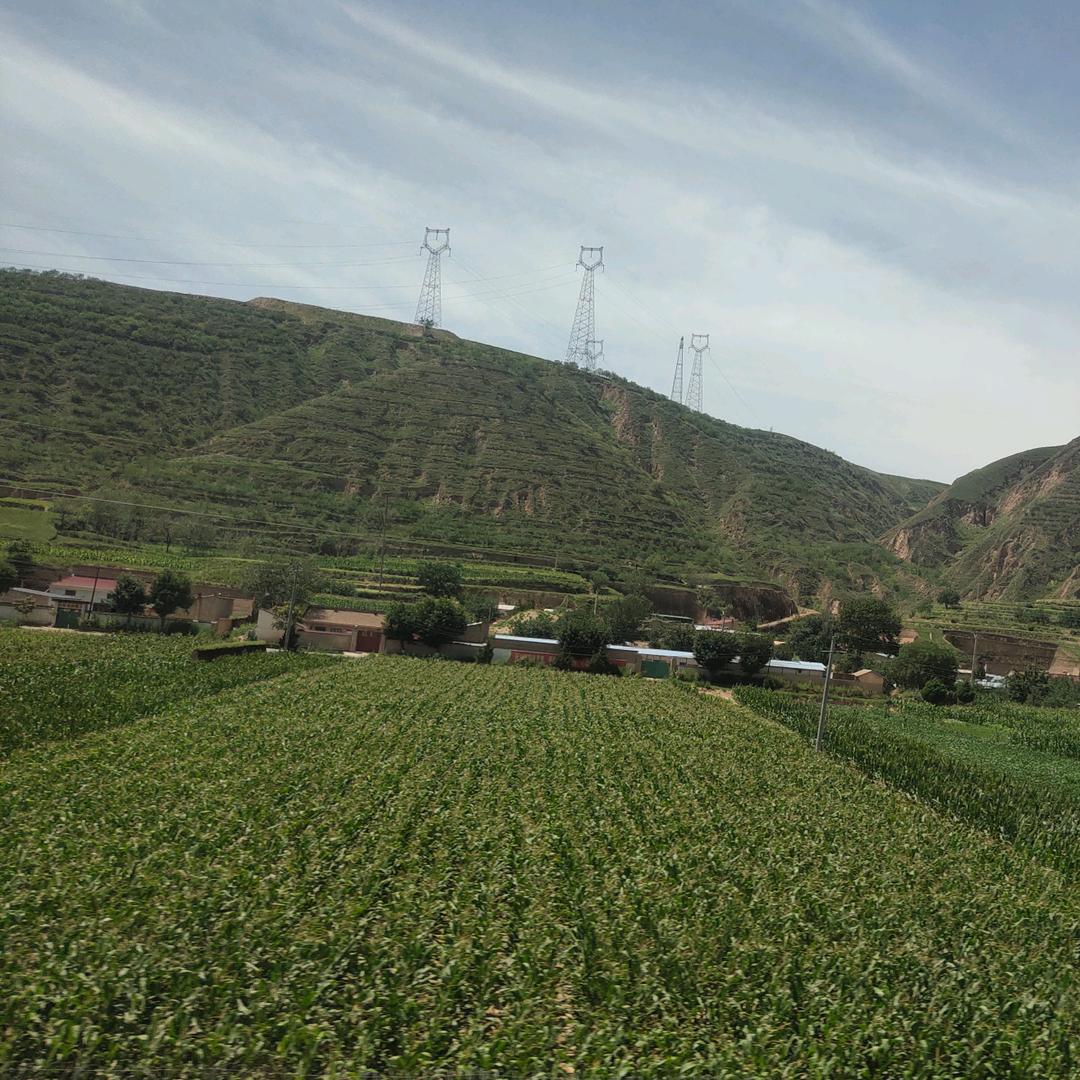 山川（shanchuan）