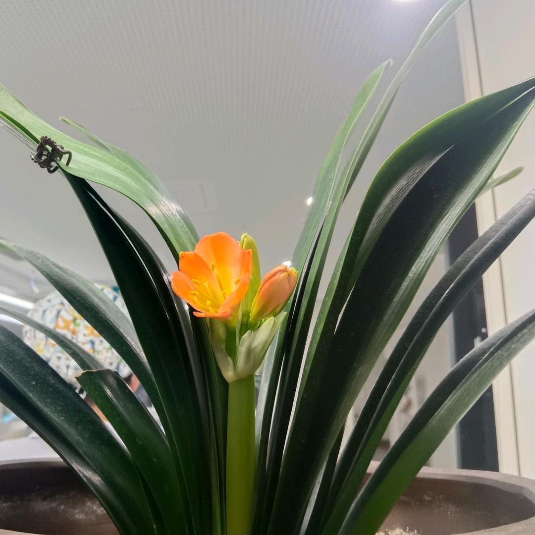 后悔