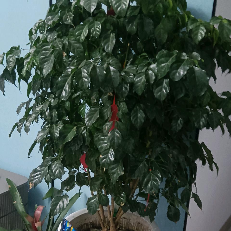 🌈🌈🌈芬芬🌈