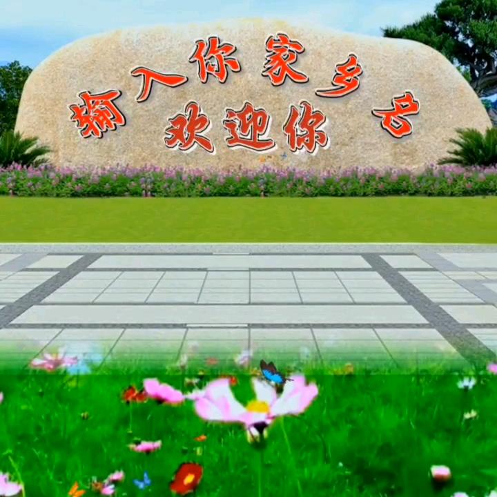 春阳147