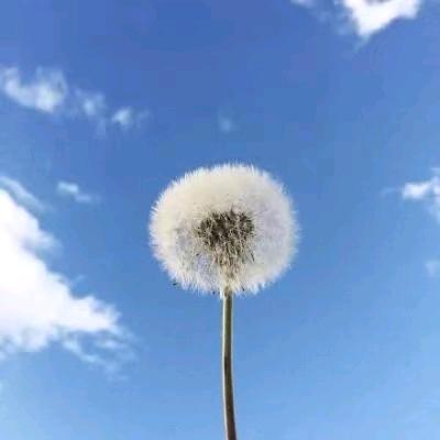 夏雨手工