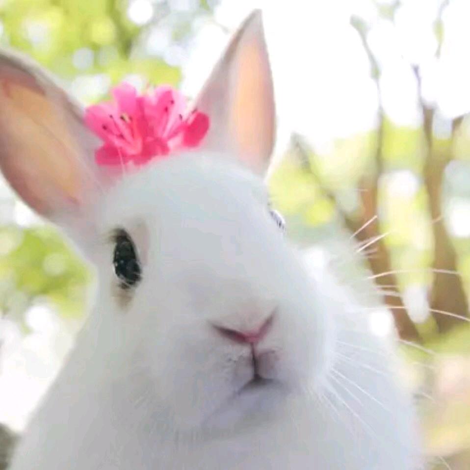 独揽月