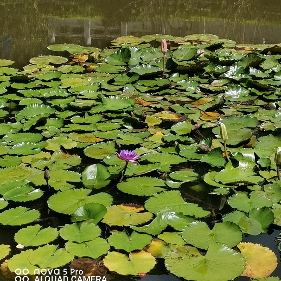 小时光