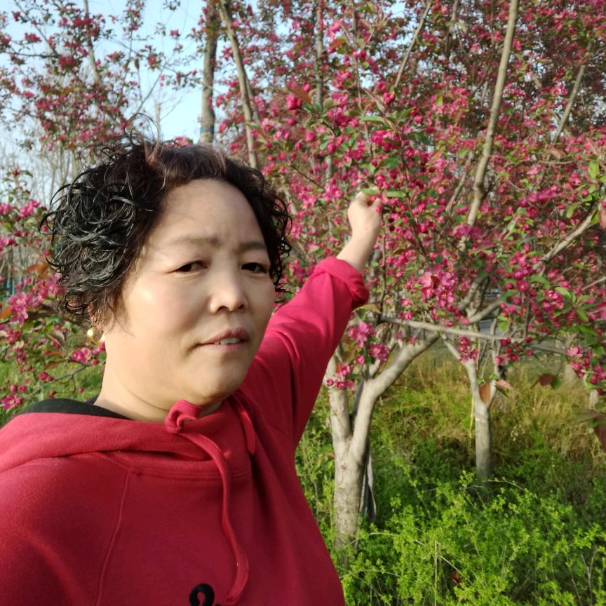 周游世界休要胡来