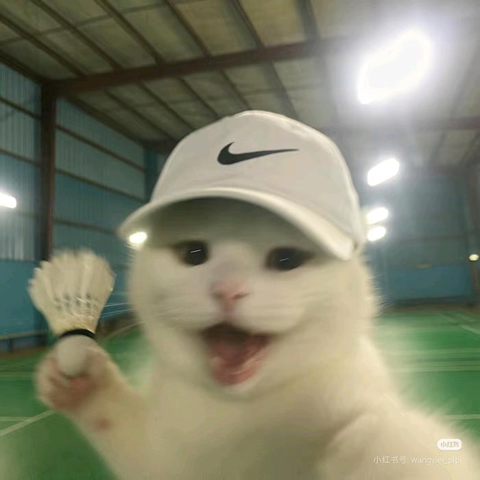 老婆出轨做4i气的去酒吧点男模