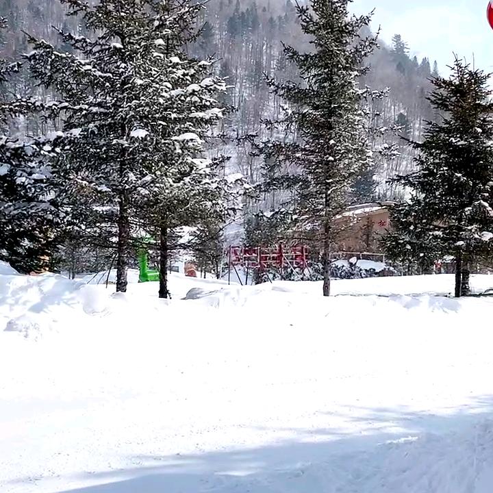 锦绣年华