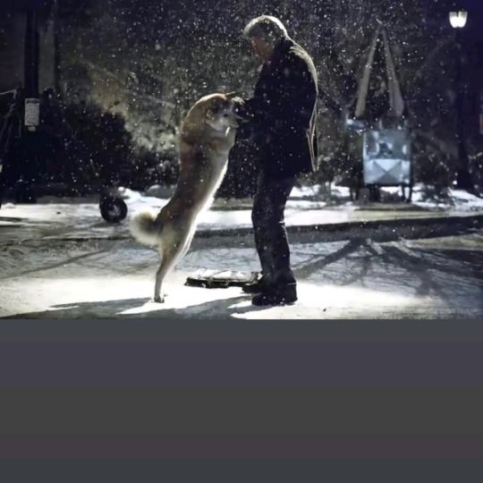 🐶໊এ 光輝歲月