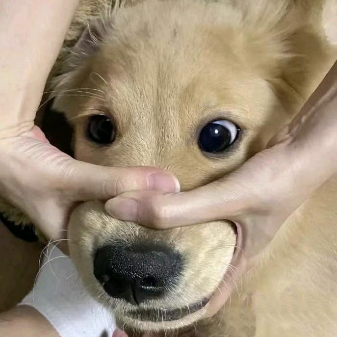 MiDuo