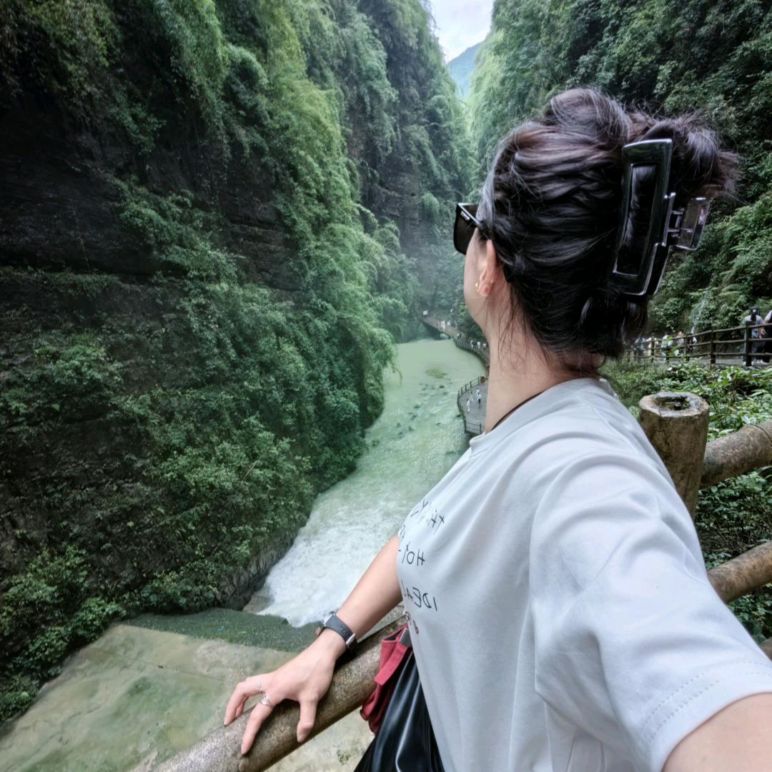杨晶