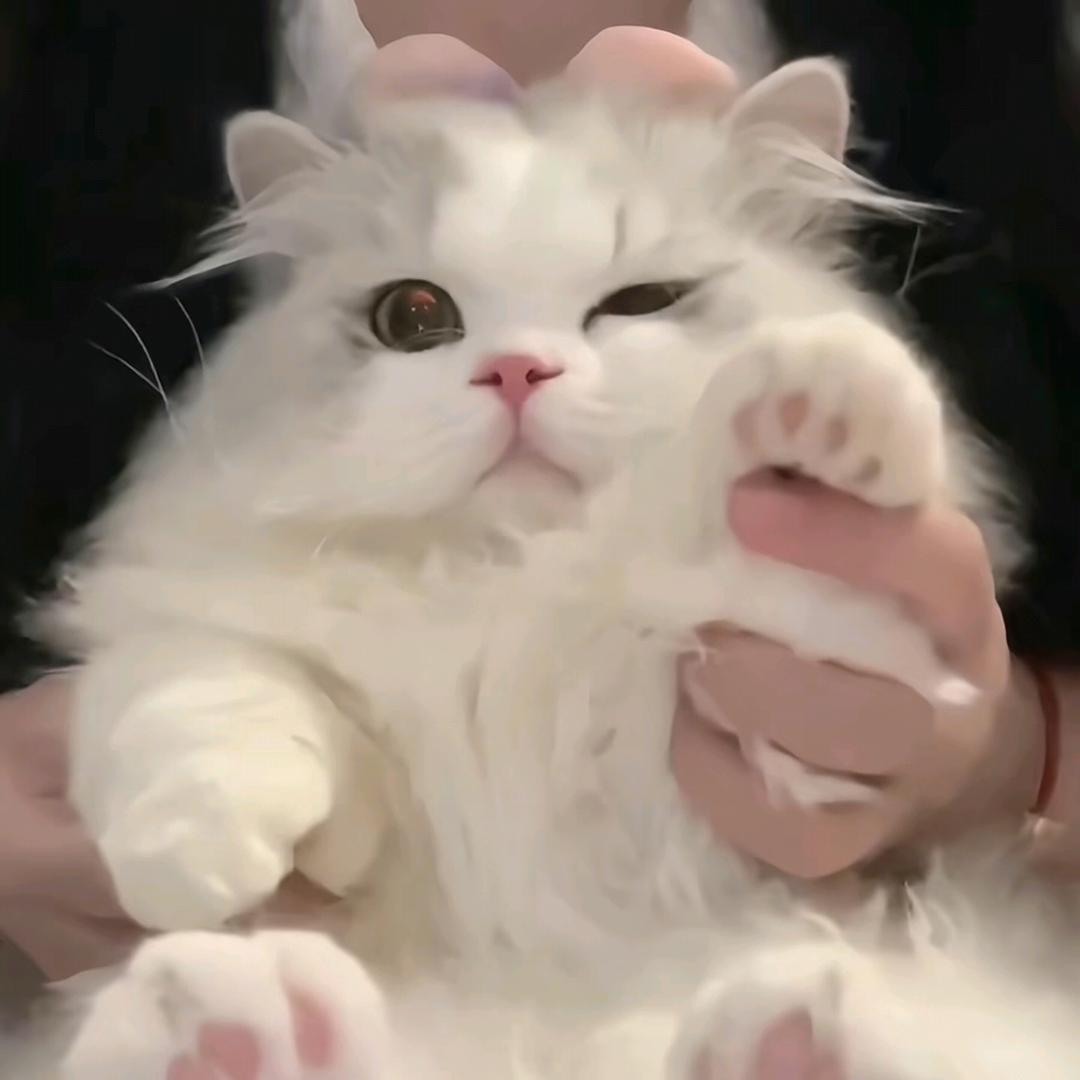 楠小溪