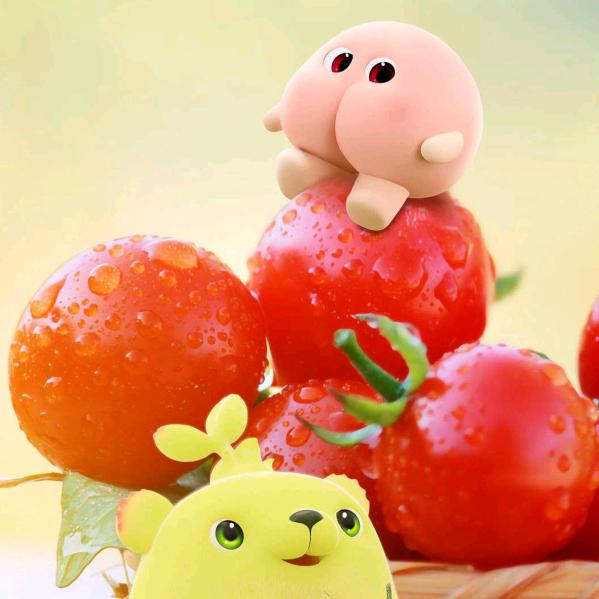 专业模板外架工