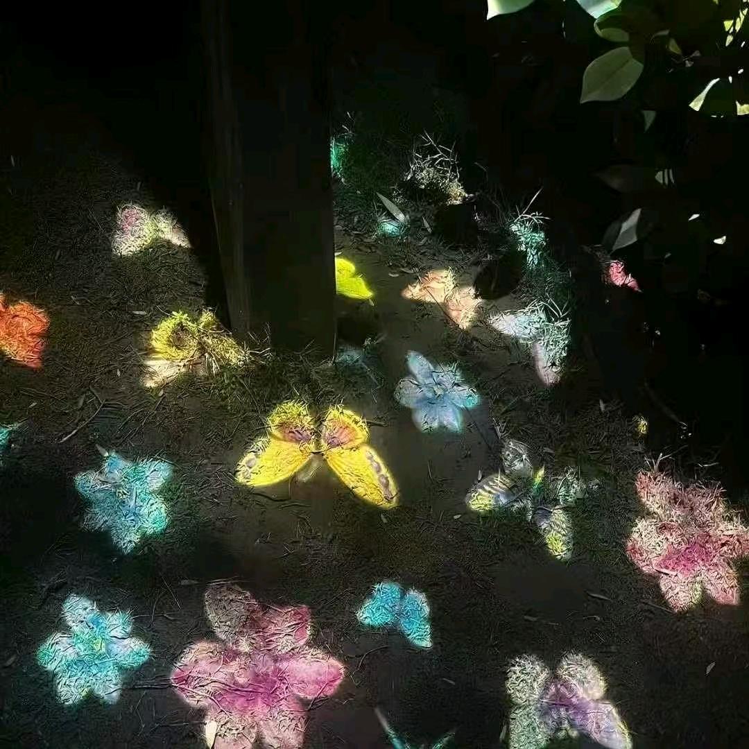 一粒草籽🌱