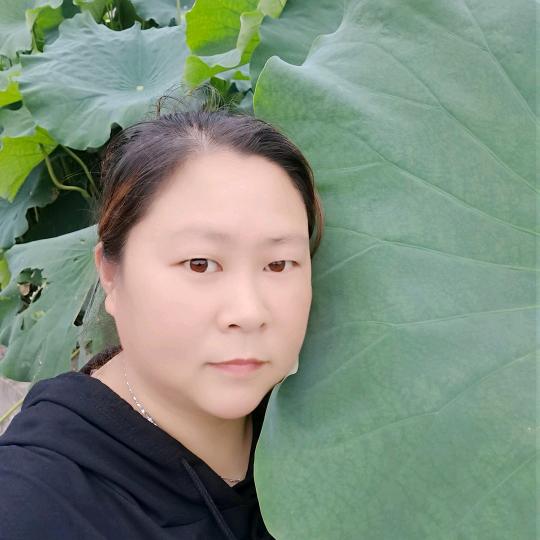 向阳而生🌻🌻☀☀