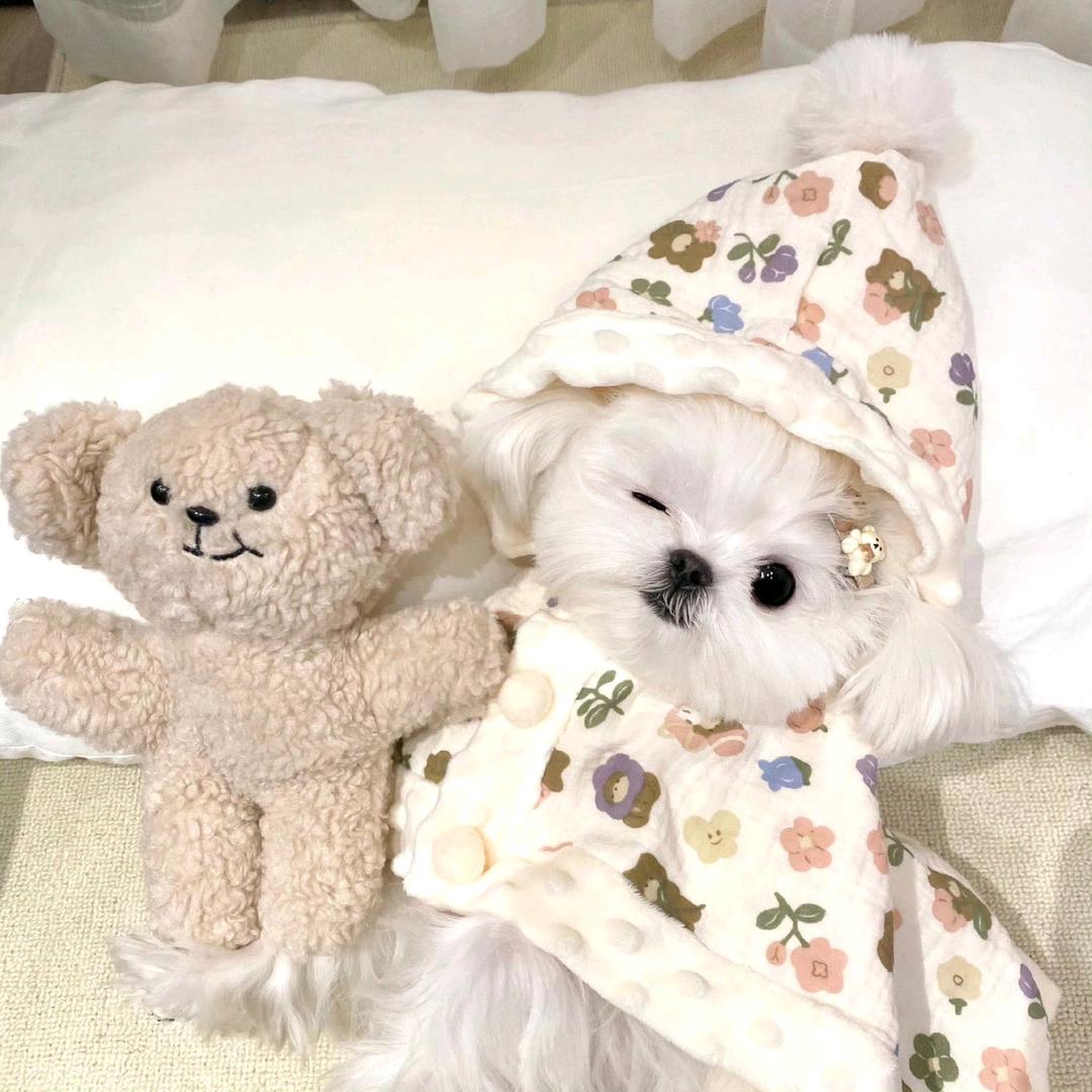 美美(好物分享)