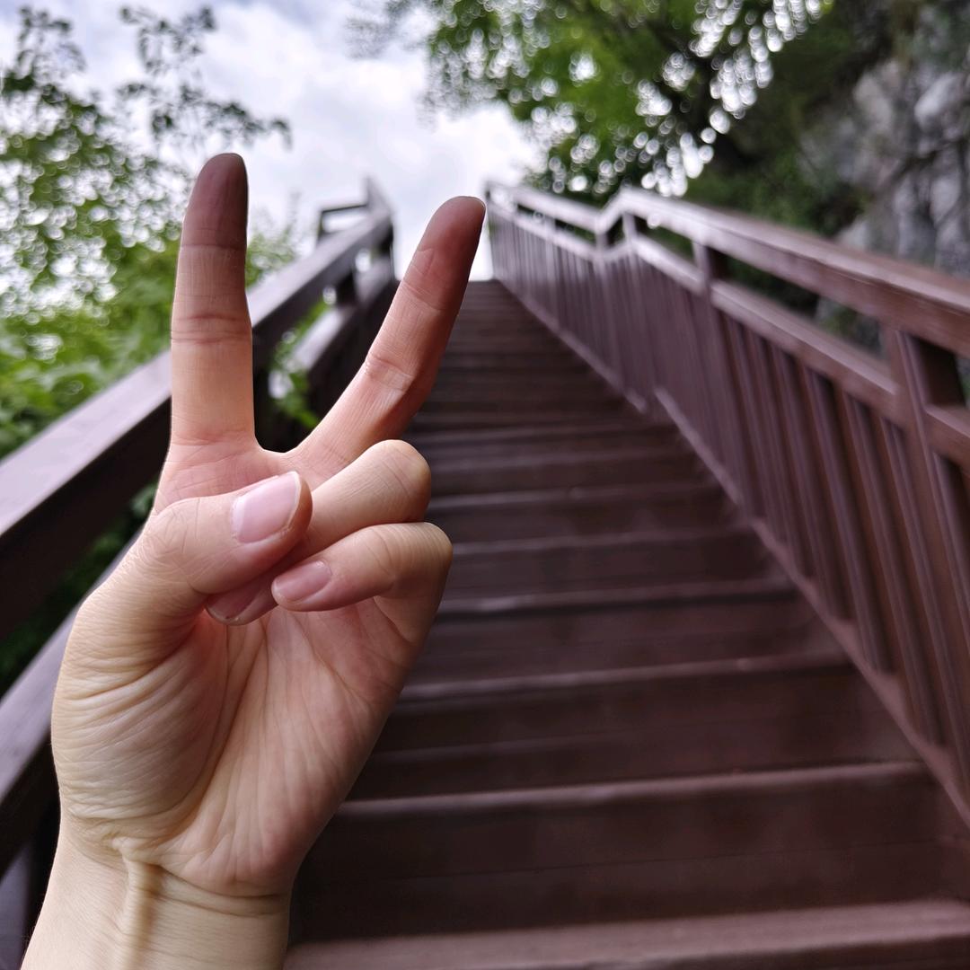 没抹茶味的抹茶蛋糕真的不好吃