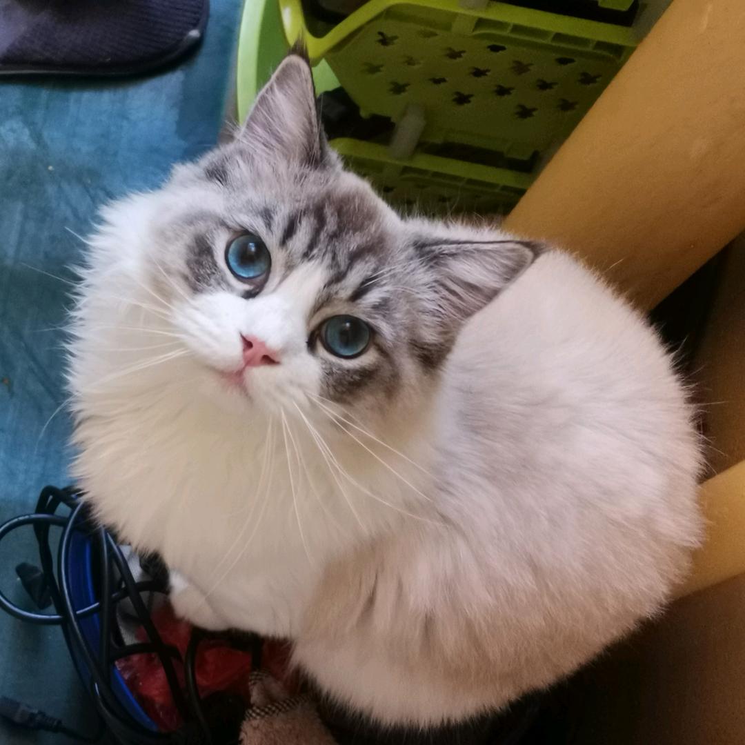 🎶一起向明天看齐🎶