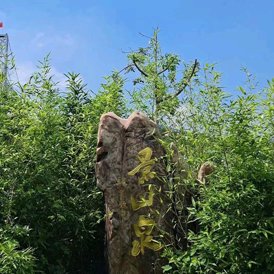 江苏徐州景山泉旅游度假区