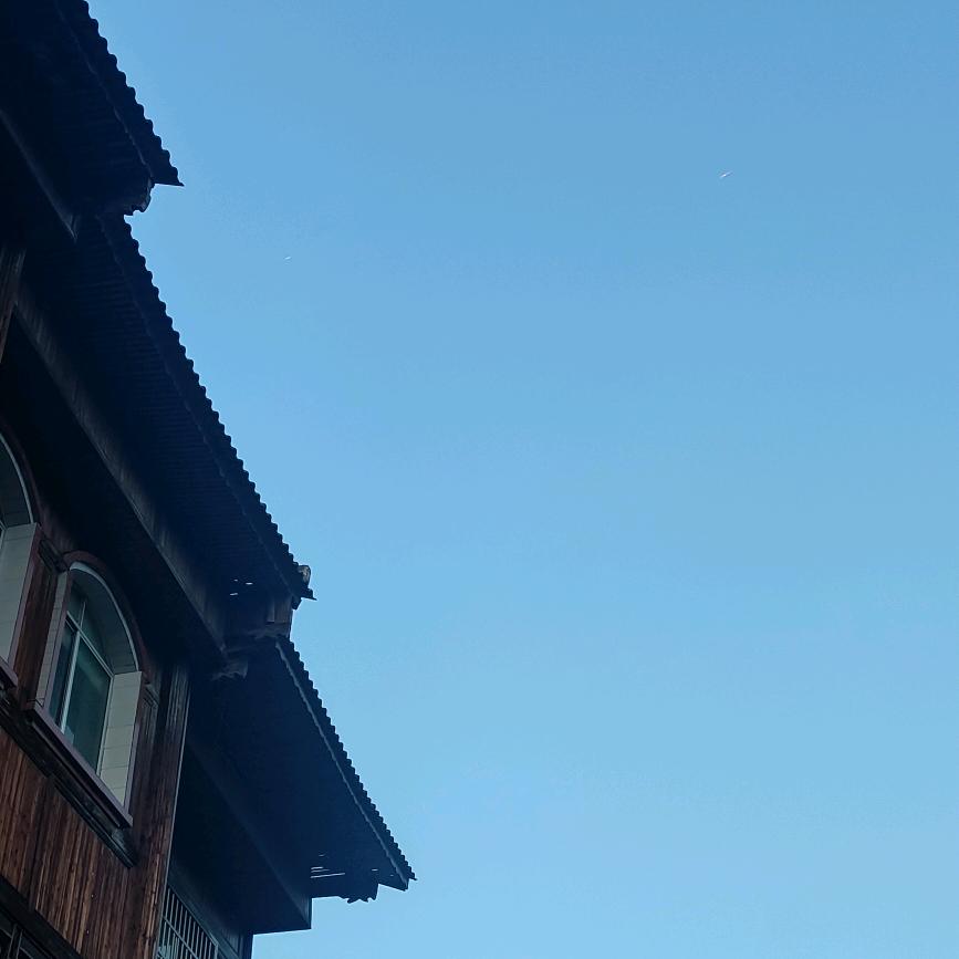 观心