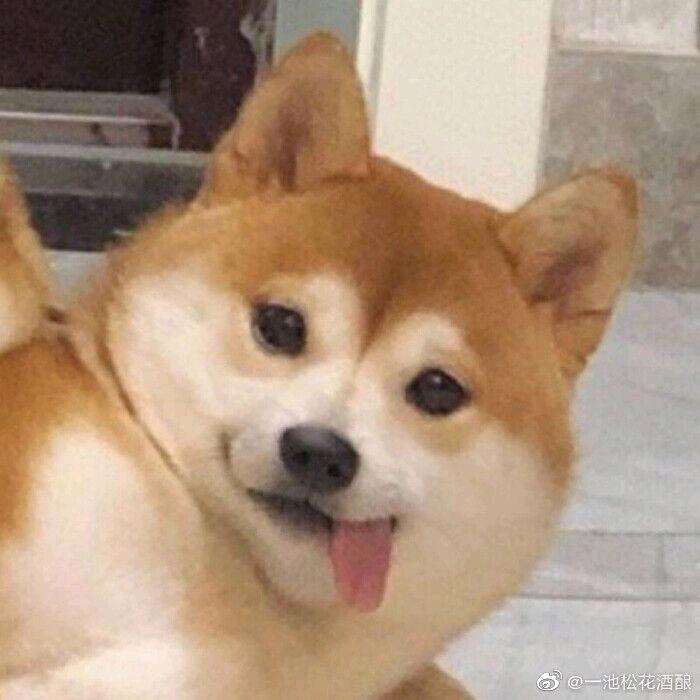 马喽