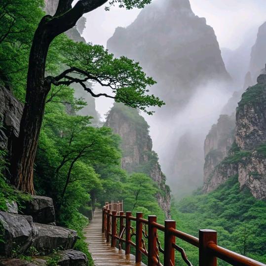 广州盼峰网络信息科技有限公司