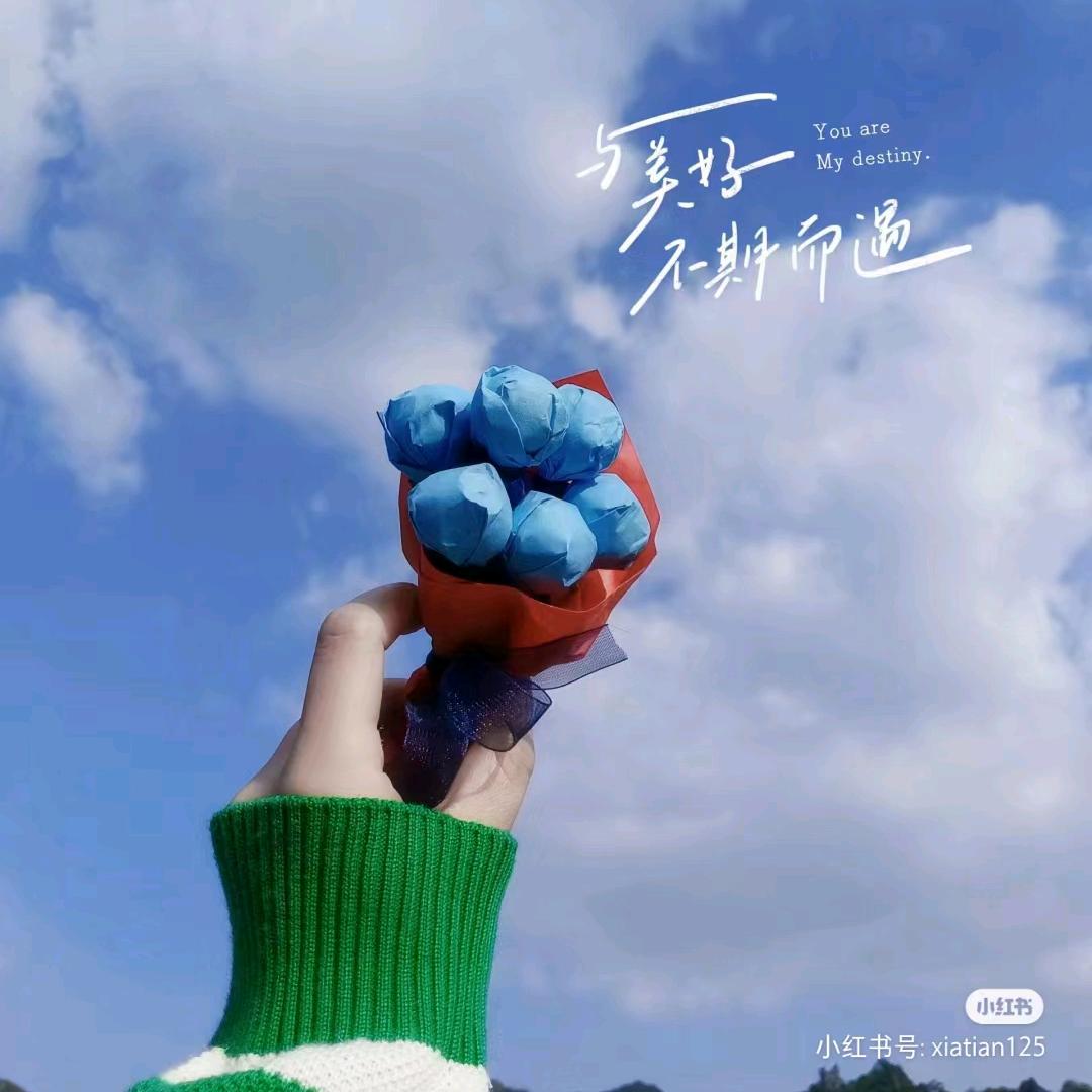 润榜丹丹～水产那些事