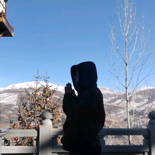 五禾师兄