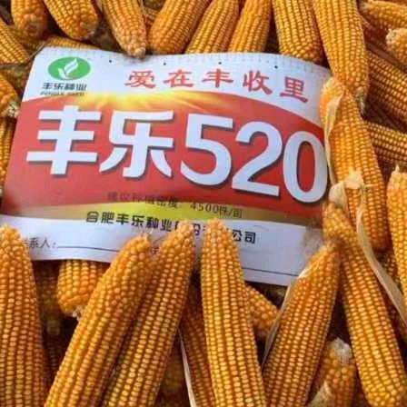 丰乐520