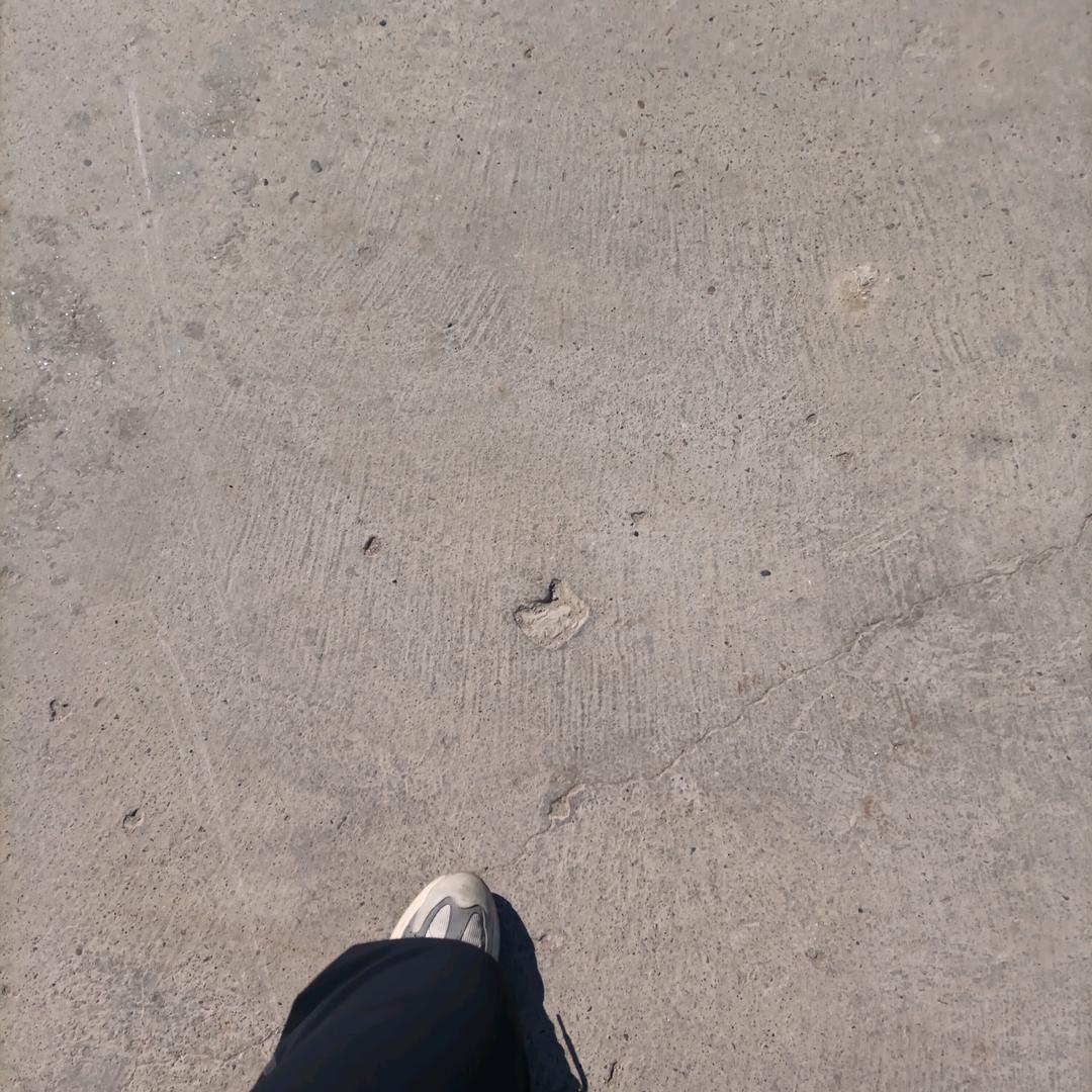 天天在家