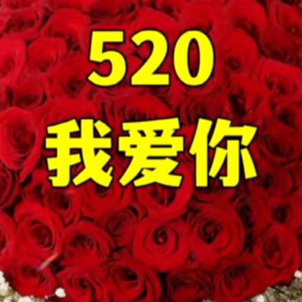 寒江弧寻