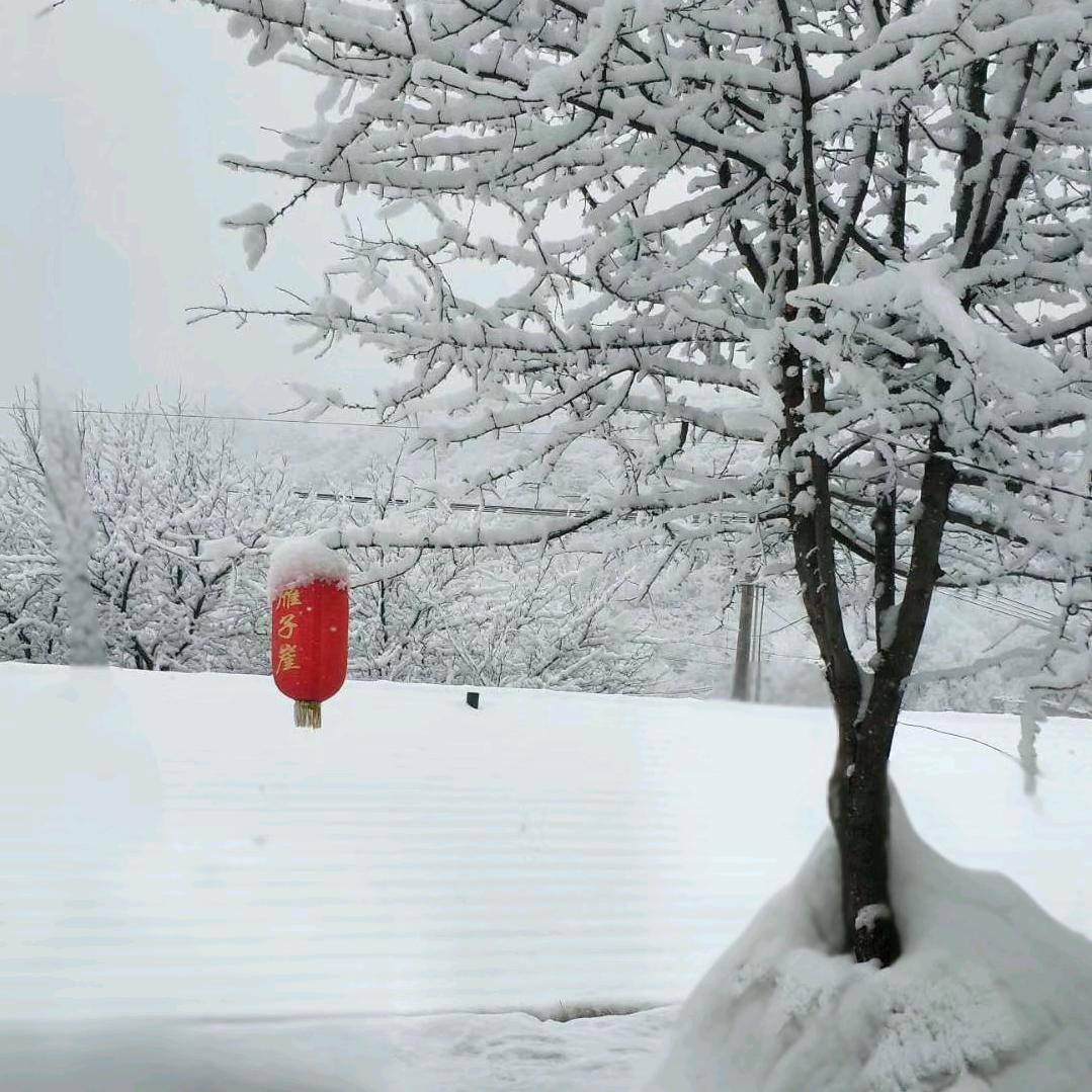 ઈོ随缘ᰔᩚ࿐