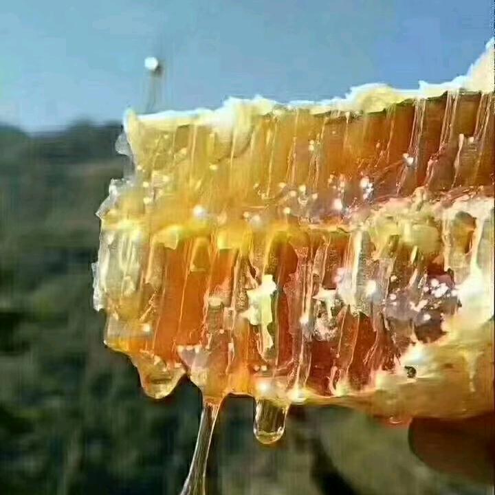 总是回忆加分