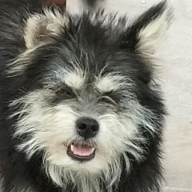 睡觉的xi
