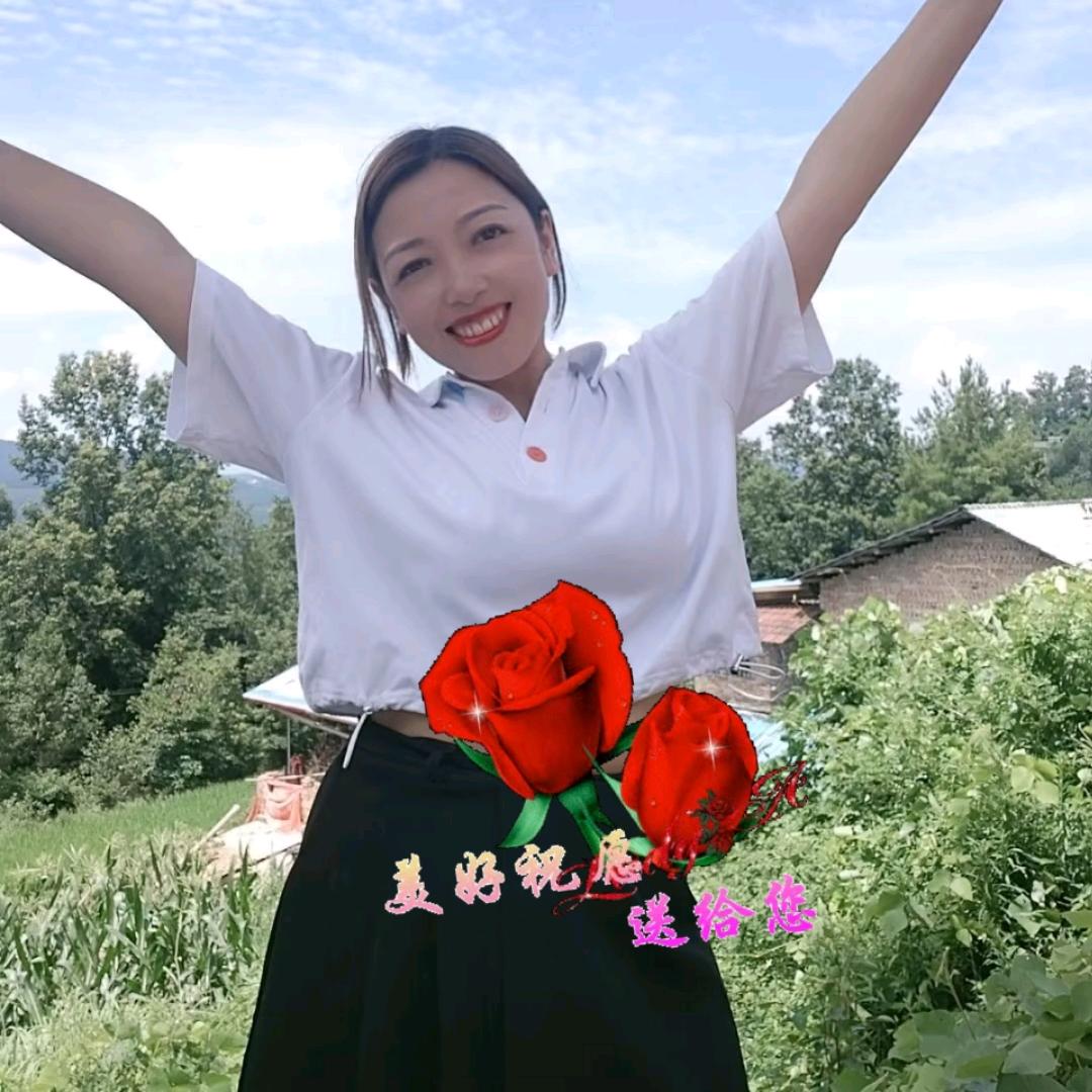 菊子姐姐