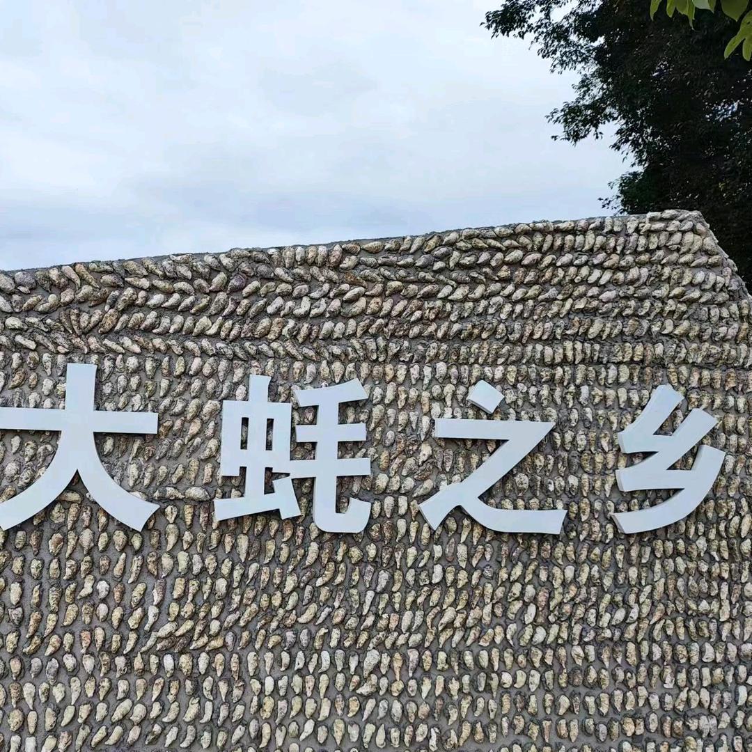 海星蚝肥肥生蚝批发