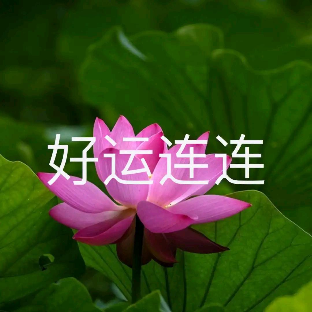 好运连连（请不要连赞）