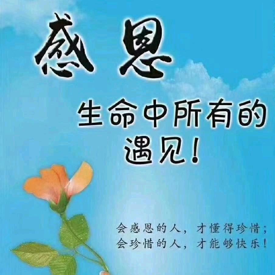 眷恋的故乡