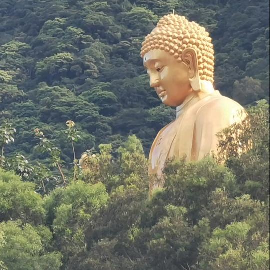 無心而為