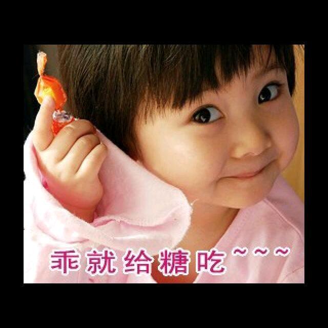 小灰灰