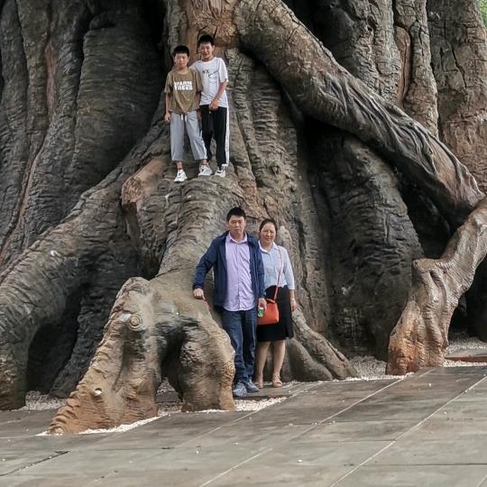 你借我一时我还你一世