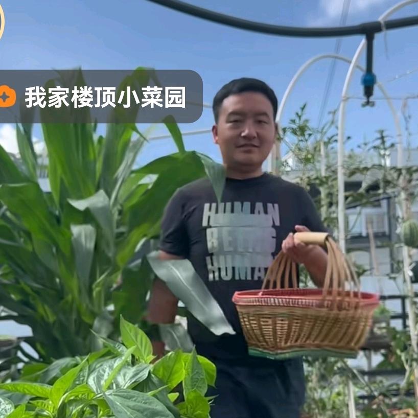 家庭小菜园