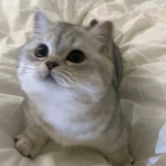 吃饱饱没烦恼、